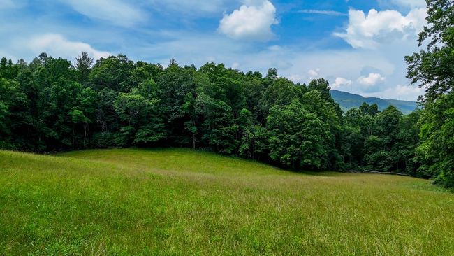 2486 Laurel Fork Rd, Home with 0 bedrooms, 0 bathrooms and null parking in Rocky Gap VA | Image 49