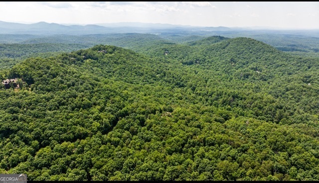 Land in Ellijay