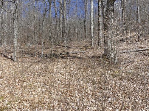 Lot 11.2 Alpine Drive, Bovina, NY, 13731 | Card Image