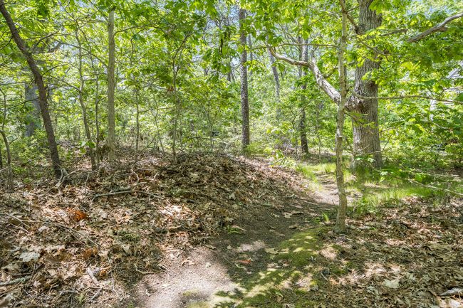 Path to Thumpertown | Image 62