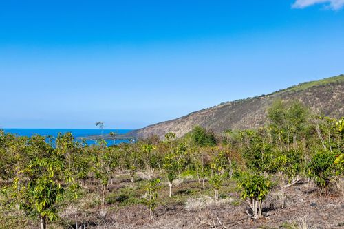 82-1177 Meli Rd, CAPTAIN COOK, HI, 96704-8122 | Card Image