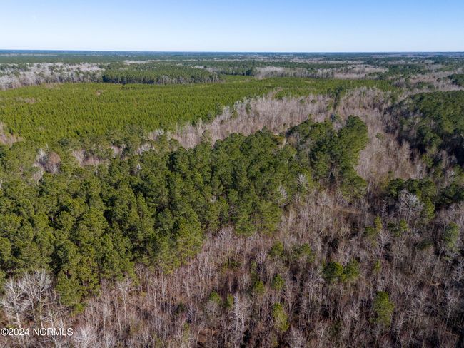 00 Sykes Town Rd, Home with 0 bedrooms, 0 bathrooms and null parking in Currie NC | Image 41