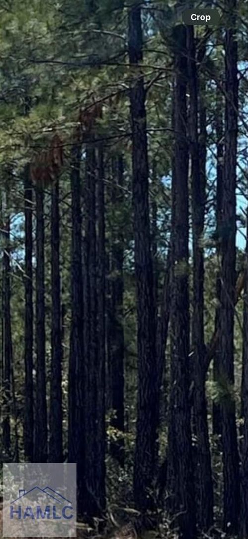 1 Bradwell Dunham Rd Ne, Ludowici, GA, 31316-1902 | Card Image