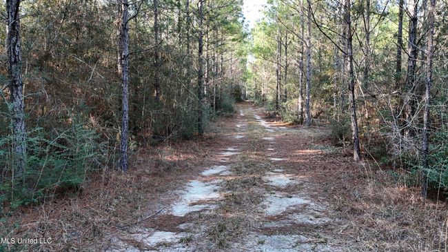 Trails 41 | Image 13
