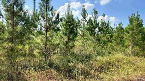 Lot 88 Posie Forest Rd, Milton, FL, 32583 | Card Image