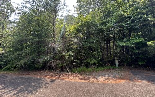 8, 13 Ovaline Trail, Ellijay, GA, 30536 | Card Image