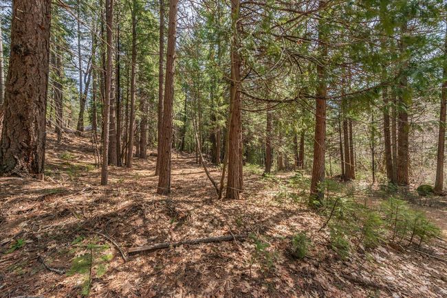 121,141 Mountain Aire Ln, House other with 2 bedrooms, 1 bathrooms and 15 parking in Trinity Center CA | Image 45