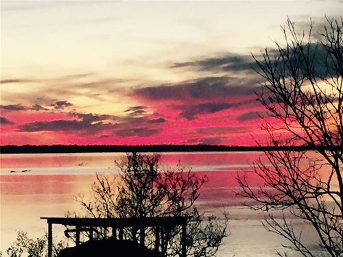 259 Memphis Bell, Trinity, TX, 75862-4714 | Card Image