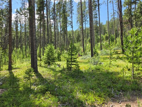 39 Shakopee Dr, Anaconda, MT, 59711-6314 | Card Image