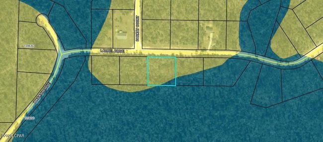 Lot 10 Laurel Dr, Home with 0 bedrooms, 0 bathrooms and null parking in Alford FL | Image 6