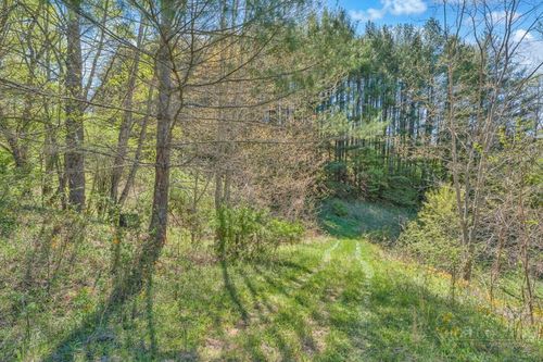 Lot 7 Paradise Valley Estates, Creston, NC, 28615 | Card Image