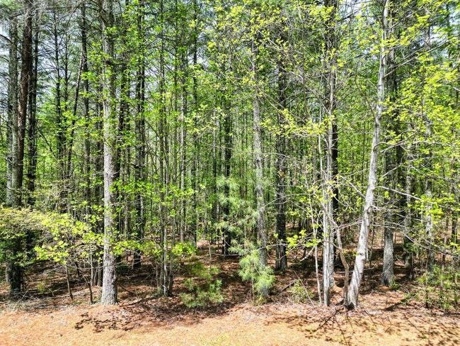 LOT 93 Sanctuary Dr, Home with 0 bedrooms, 0 bathrooms and null parking in Blairsville GA | Image 8