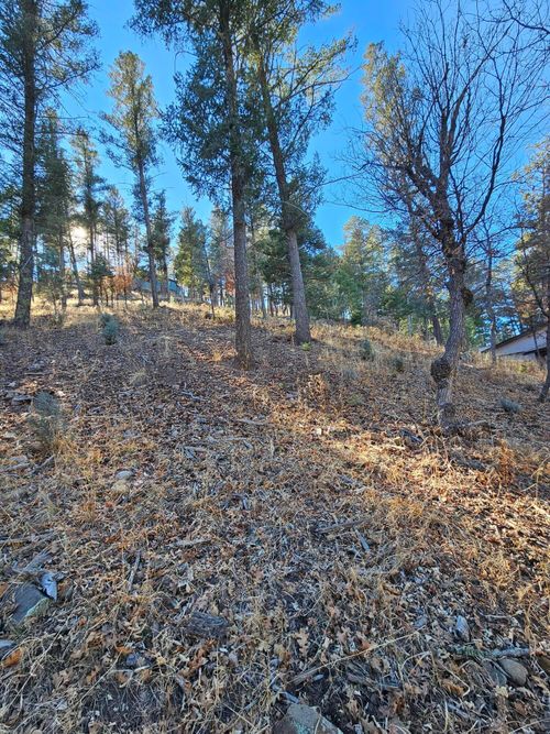 203 Perk Canyon Drive, Ruidoso, NM, 88345 | Card Image