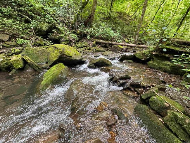 00 Calico Rd, Home with 0 bedrooms, 0 bathrooms and null parking in Clinton AR | Image 7