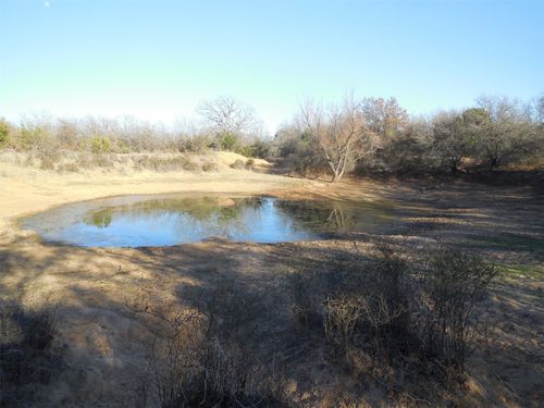 12436 County Road 134, Ranger, TX, 76470-3723 | Card Image
