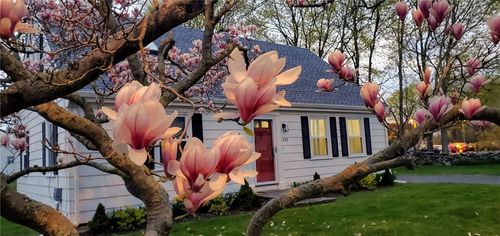 429 Forest Ave, Middletown, RI, 02842-4673 | Card Image