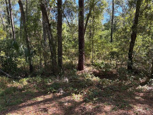 1222 Clover Ter, INVERNESS, FL, 34452-6666 | Card Image