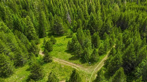 10XXX E Whispering Pines Rd, Elk, WA, 99009 | Card Image