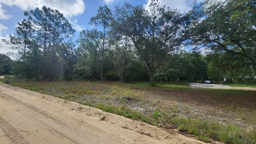 00 Britt St, Interlachen, FL, 32148 | Card Image