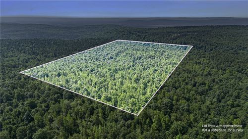 000 Bear Hollow Rd, Paris, AR, 72855 | Card Image