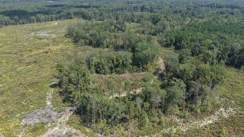 TBD Tram Rd, Horatio, AR, 71842 | Card Image