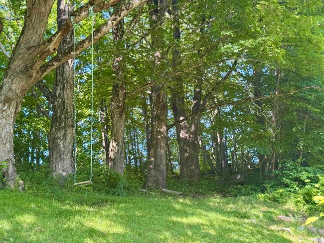 426 Buchanan Rd, House other with 3 bedrooms, 2 bathrooms and 2 parking in Rockland NS | Image 48