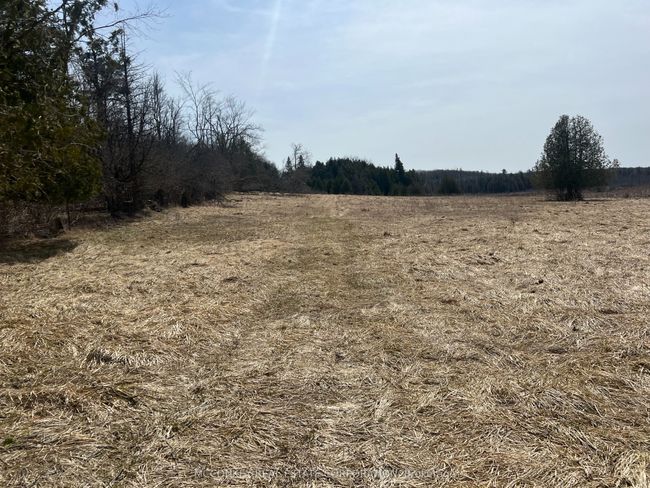 12 - 00 County Rd 13 E, Home with 0 bedrooms, 0 bathrooms and null parking in Hastings ON | Image 12