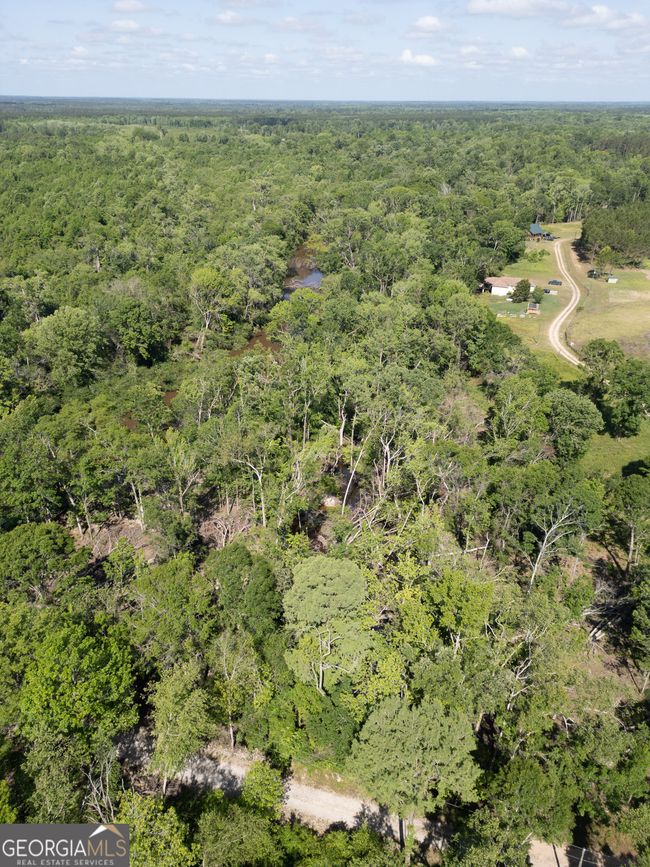 LOT 20 The River Landing, Home with 0 bedrooms, 0 bathrooms and null parking in Midville GA | Image 16