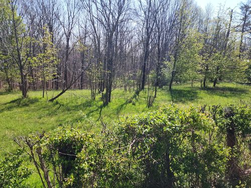 0 Davis Hollow Rd, Franklin, TN, 37064 | Card Image