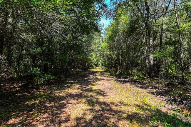 0 Highway 105, Home with 0 bedrooms, 0 bathrooms and null parking in Hull TX | Image 8