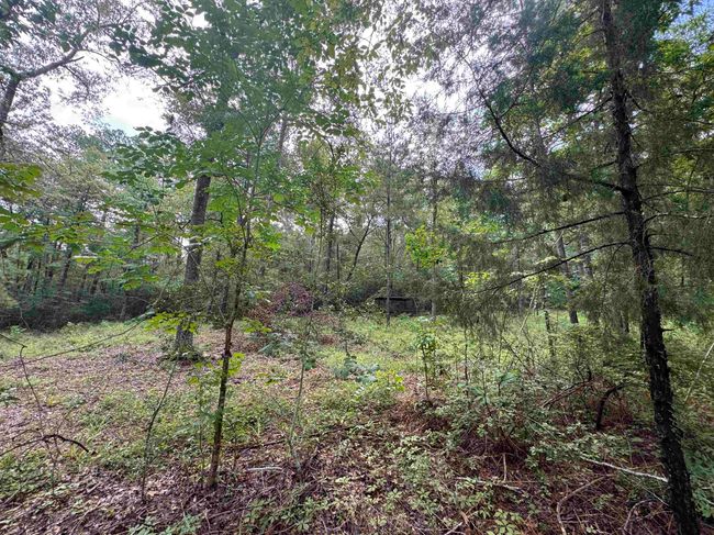 098 Private Road 6010, Home with 0 bedrooms, 0 bathrooms and null parking in Brookeland TX | Image 6