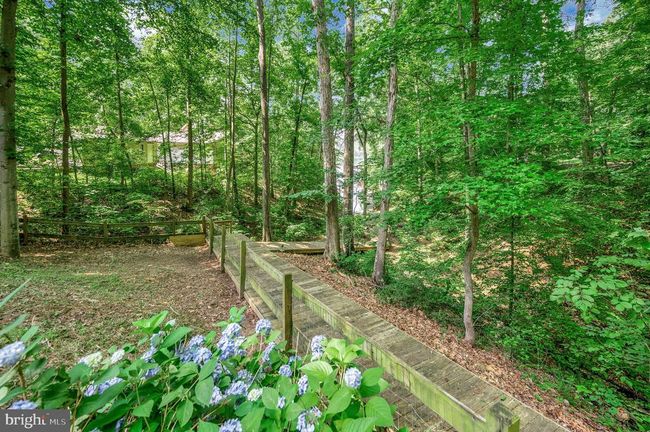 14906 Laurel Point Ln, House other with 4 bedrooms, 4 bathrooms and null parking in SPOTSYLVANIA VA | Image 60