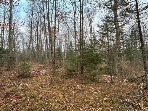 18 Acres Cth G, Pelican Lake, WI, 54463 | Card Image