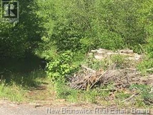 234 Flanagan Rd, Fredericton, NB, E3C2E8 | Card Image