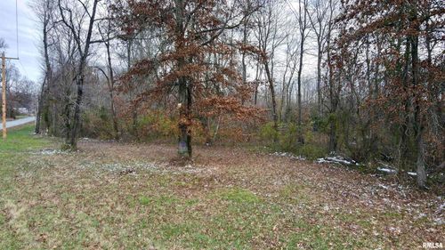 10200 Country Club Rd, West Frankfort, IL, 62896 | Card Image