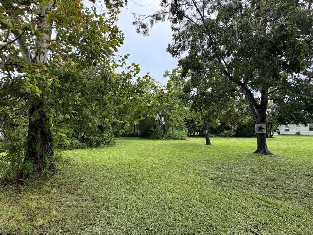 Land in Port Arthur 2