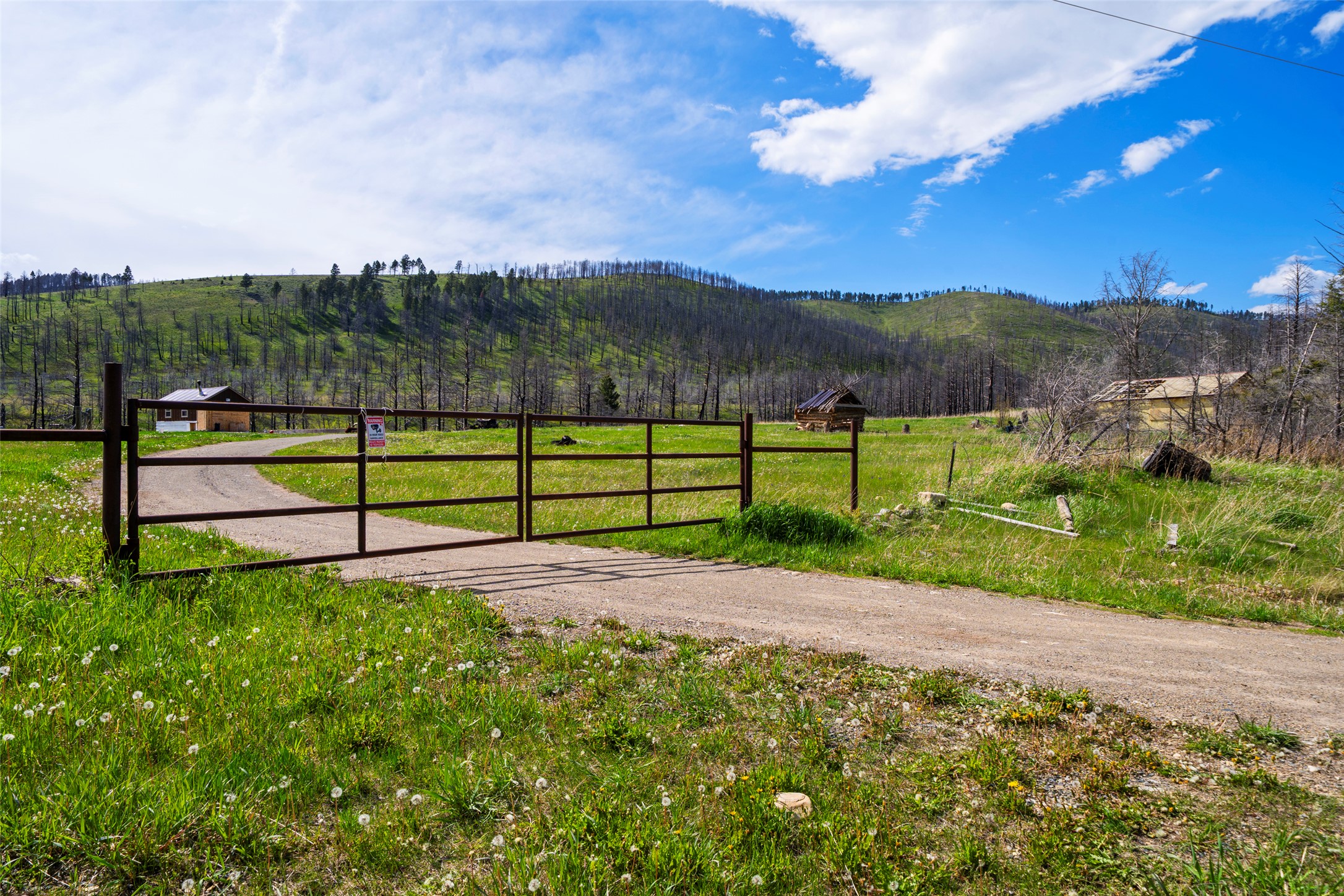 Land in Townsend 4
