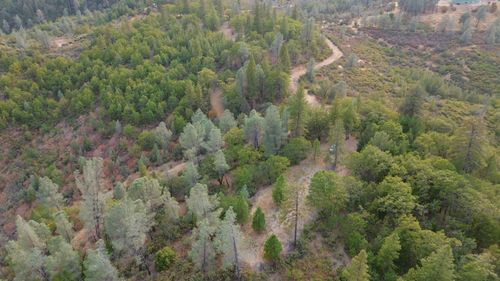000 Sugar Pine Camp Rd, Bella Vista, CA, 96008 | Card Image