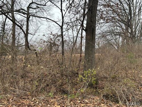 285 Graves Ln, Foley, MO, 63347-2714 | Card Image