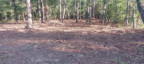 1 Pee Dee School Rd, Marion, SC, 29571 | Card Image