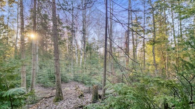 450 Sauble Falls Pky, Home with 0 bedrooms, 0 bathrooms and null parking in Sauble Beach ON | Image 37