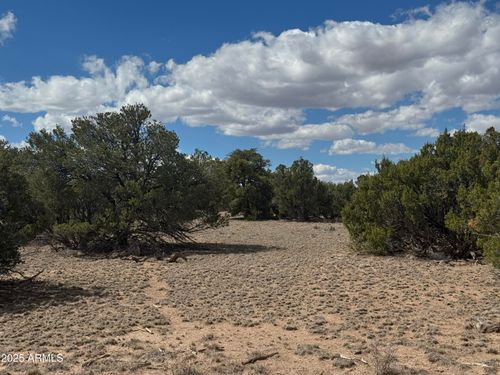 131-Lot 131 Elk Valley Ranch --, St Johns, AZ, 85936 | Card Image