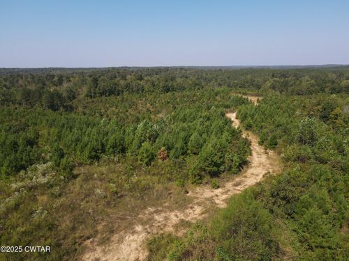 56 Old Hwy 69, Sugar Tree, TN, 38380 | Card Image