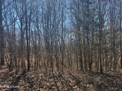 LOT 71 Saddle Ridge Dr, Speedwell, TN, 37870 | Card Image