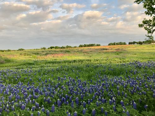 00 00 Fm-660, Ennis, TX, 75119 | Card Image