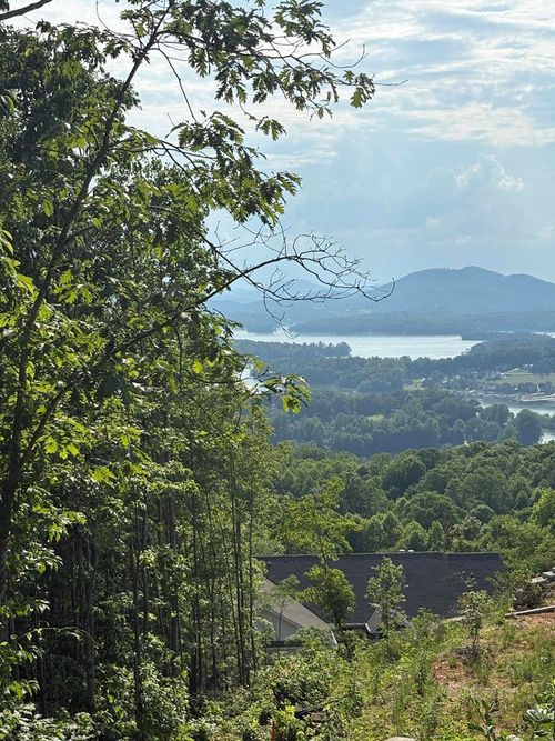 Lot 46 Dan Knob (Lot), Hayesville, NC, 28904 | Card Image