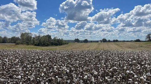 00 Christmasville Rd, Medina, TN, 38355 | Card Image