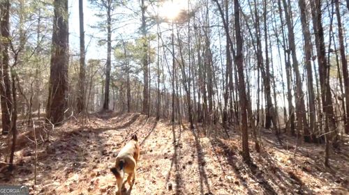 lot-3-west-3 WEST Dry Pond Rd, Ranger, GA, 30734 | Card Image