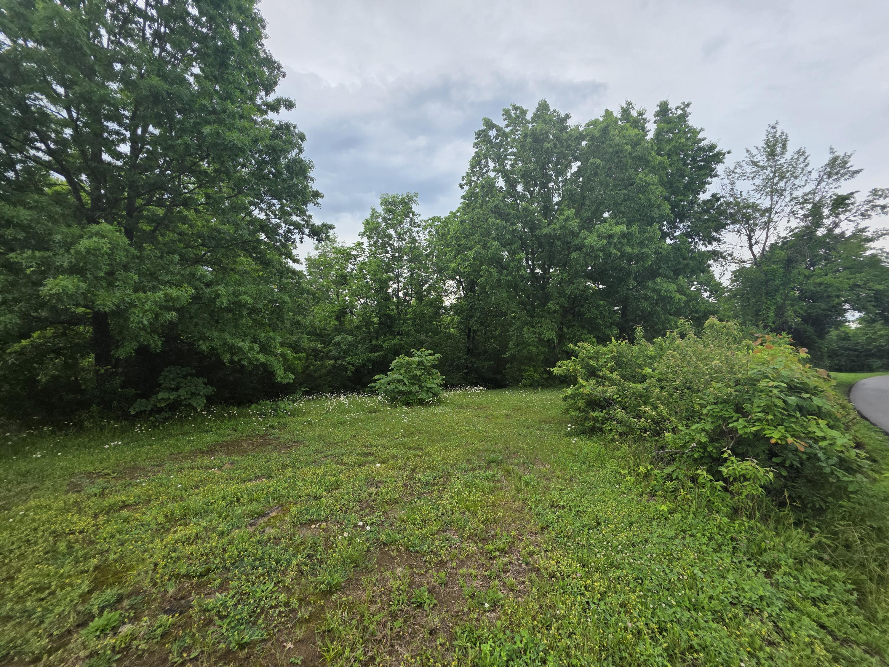 Land in Harrodsburg 3