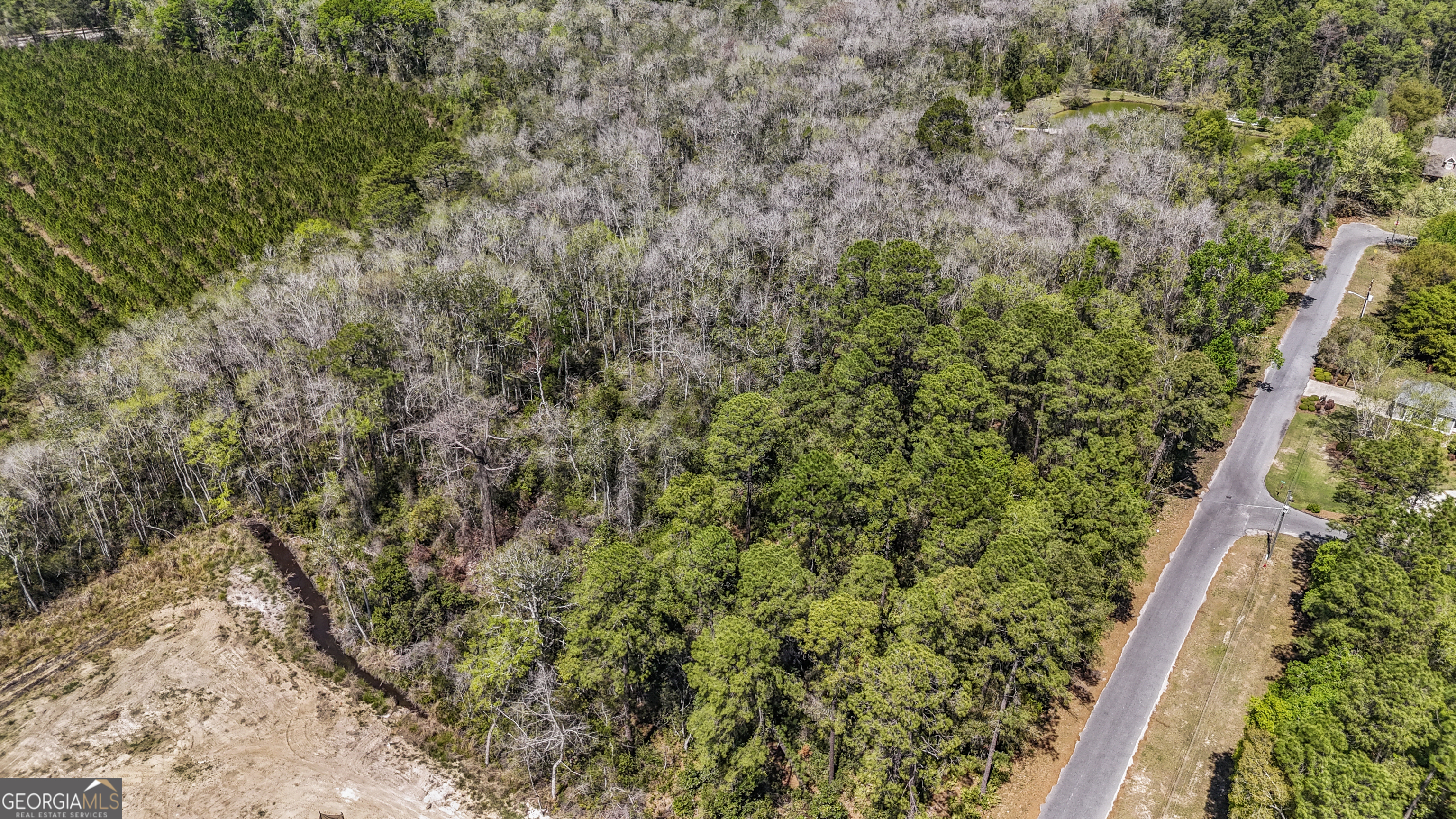 Land in Jesup 3